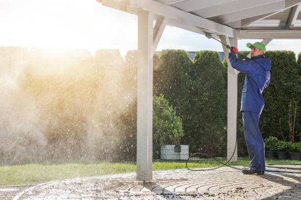 Best House Exterior Washing  in Somerville, TX