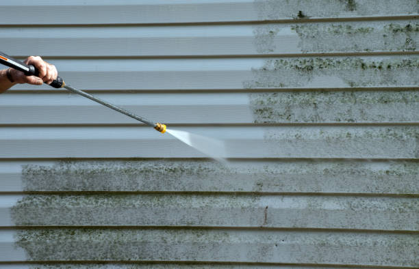 Best Solar Panel Cleaning  in Somerville, TX